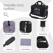 Roypet Small and Medium Pet Carrier, Airline Approved, Collapsible Travel, Black, 15 Lb Limit