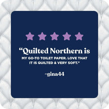 Quilted Northern Ultra Plush 3-Ply Toilet Paper, 12 Mega Rolls, 255 Sheets Per Roll - Brands For Less USA