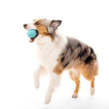 Play by Playology Dog Toys Interactive Dog Balls Crunchy Ball Toy 2-Pack