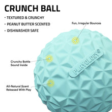 Play by Playology Dog Toys Interactive Dog Balls Crunchy Ball Toy 2-Pack