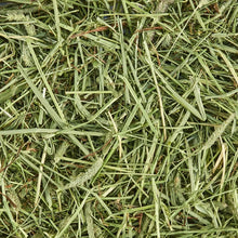 Kaytee Forti-Diet All Natural Timothy Hay , 96 ounce