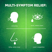 Berkley Jensen 24-Hour Allergy Reliefy, Nasal Spray 4 ct.