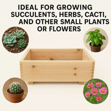 Timber Valley Brown Cedar Rectangle Planter for Indoor/Outdoor, 2pk.