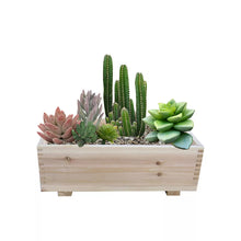 Timber Valley Brown Cedar Rectangle Planter for Indoor/Outdoor, 2pk.