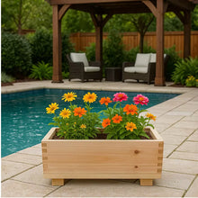 Timber Valley Brown Cedar Rectangle Planter for Indoor/Outdoor, 2pk.