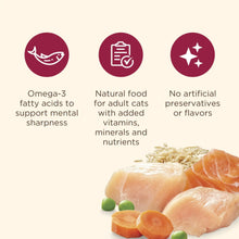 Nutrish Everyday Digestion Chicken Brown Rice and Salmon Recipe with Veggies Dry Cat Food, 13lb Bag