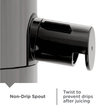 BLACK+DECKER Fruit & Vegetable Juicer Extractor, 400-Watt, Quiet, Black Plastic