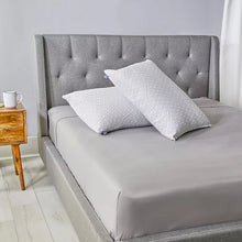 Sealy Standard/Queen Size Charcoal Pillow - White