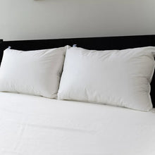 Sealy All Positions Pillow