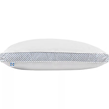 Sealy Extra Firm Support Standard/Queen Size Pillow - Striped Gusset