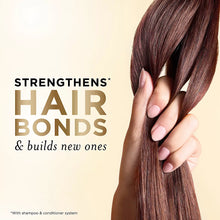 Pantene Daily Moisture Renewal 72 Hour Lush Moisture Shampoo, 36.2 oz.