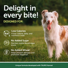 Alimento húmedo para perros Nature's Protection Superior Care con atún, para adultos, bolsa de 70 g (paquete de 24)