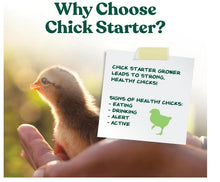 Manna Pro Medicated Chick Starter Grower Feed 5 lb Bag