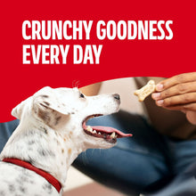 (2 pack) Milk Bone Original Biscuits, Small Dog Treats, 24 oz Box