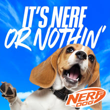 Nerf Dog X-Weave Squeak Soccer Ball for Large Dogs