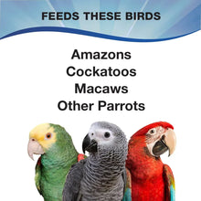 3-D-Pet-Products-Premium-Parrot4 - Brands For Less USA