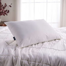 305c85d2-5c0a-4318-bcd3-f0a5c403082b-030991e498b9735352dc2b5c4ca16ad8-_6 - Brands For Less USA