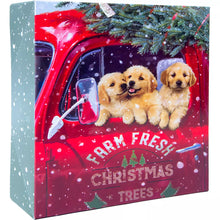 Berkley Jensen Premium Printed Folding Gift Box Assortment, 20 Pk.