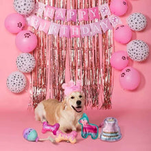 Happy Barkday Birthday Girl Box Dog Toy Bundle, 6-Piece Set (Pink)