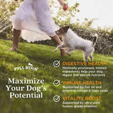 Full Moon Air Dried Beef Dog Food (Premium Feed, 16 Ounces)