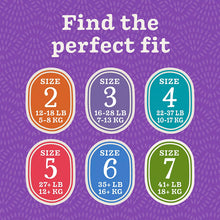 Berkley Jensen Diapers (Select Size)