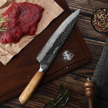 Hecef Japanese Chef Knife, Forged 67-Layer Damascus Steel Ultra Sharp Professional Hammered Carving Knife