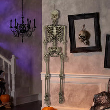 Berkley Jensen 5' Poseable Skeleton