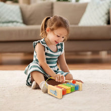 Bluey's Magical Xylophone Band Set