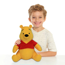 Disney Classics Friends Large 12.7-Inch Plush Winnie the Pooh, Ages 2 + - Brands For Less USA