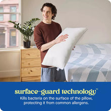 Sealy Dreamlife Shredded Foam Pillow