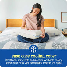 Sealy Dreamlife King Memory Foam Pillow