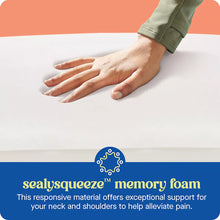 Sealy Dreamlife King Memory Foam Pillow