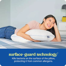 Sealy Dreamlife King Memory Foam Pillow