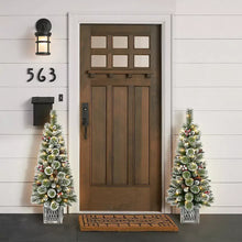 Berkley Jenson 4' Pre-lit Flocked Potted Trees, 2 pk.