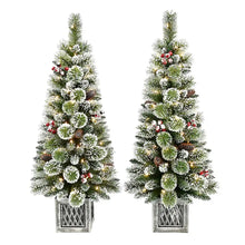 Berkley Jenson 4' Pre-lit Flocked Potted Trees, 2 pk.