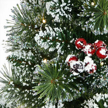 Berkley Jenson 4' Pre-lit Flocked Potted Trees, 2 pk.