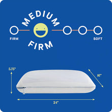 Sealy Dreamlife King Memory Foam Gel Pillows