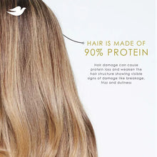 Dove Bond Strength Damage Therapy Shampoo & Conditioner, 2 pk./33.8 oz.