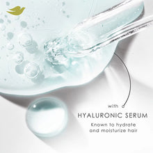 Dove Shampoo & Conditioner Daily Moisture, 2 ct./33.8 fl. oz.