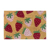 Coir Outdoor Mat 23" x 25"