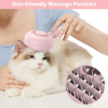 BEBANG Cat Steam Brush 3 in 1, One-Click Hair Removal Brush with Steam for Cats and Dogs