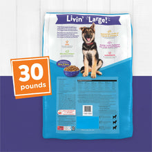 3_191f8b8d-a65b-4a3b-bfd9-c341b09f5d1d - Brands For Less USA