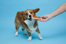 Hartz Chew n Clean Tuff Bone Dog Toy, Small, Color May Vary - Brands For Less USA