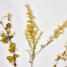 (3 pack) Mainstays Hanging Gold Circular Framed Glass Dried Pressed Floral Wall Decor, 9x9