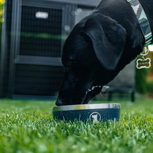 Lucky Dog Indulge 5, Double Wall 5 Cup Stainless Steel Dog Bowl, 2-pack