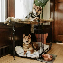 Lucky Dog DWELL Series Crate, Black Finish