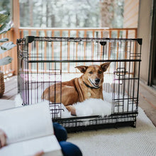 Lucky Dog DWELL Series Crate, Black Finish