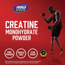 NOW Foods, Sports, Creatine Monohydrate - Brands For Less USA