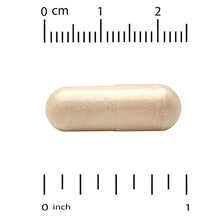 43_cce3a758-0b75-4c3a-a96c-d21dd819bacb - Brands For Less USA