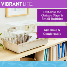 Vibrant Life Split-Level Hamster Habitat with Running Wheel & Feeding Accessories